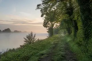 Chemin de halage verdoyant au bord de la Seine à l'aube, lumière douce, brume fine sur l'eau, ambiance paisible
