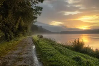 Chemin de halage bordé d’herbe et d’arbres près de la Seine par lumière de l’aube, brume et reflets sur l’eau.
