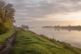 Chemin de halage humide bordant la Seine à l'aube, sous ciel nuageux, lumière rasante douce, atmosphère authentique, perspective d’un promeneur.