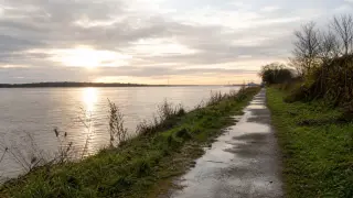 Chemin de halage au bord de la Seine à l’aube avec lumière dorée, végétation humide et ciel nuageux.