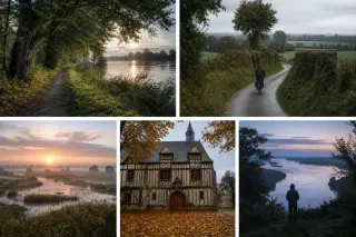 Chemin de halage bordé d'arbres près de la Seine à Quillebeuf sous lumière douce d'aube, scène réaliste et naturelle sans présence humaine posée.