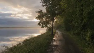 Chemin de halage au bord de la Seine à l'aube sous lumière rasante, verdure dense et reflets sur l'eau.
