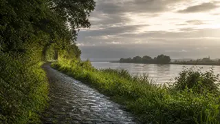 Chemin de halage longeant la Seine au lever du jour, verdure mouillée sous un ciel nuageux avec reflets d'eau