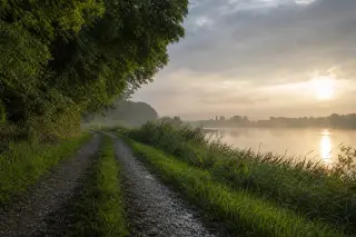 Chemin de halage verdoyant longeant la Seine à l’aube, lumière douce et brume, paysage typique de Normandie.