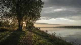 Chemin de halage verdoyant au bord de la Seine à l’aube, sous lumière douce et rasante, paysages normands humides, reflets calmes sur l’eau.