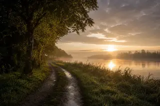 Chemin de halage humide longant la Seine avec arbres, herbes et brume à l'aube sous une lumière naturelle rasante.