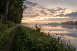 Sentier au bord de la Seine au petit matin, lumière douce et verdure luxuriante, ambiance calme et naturelle.